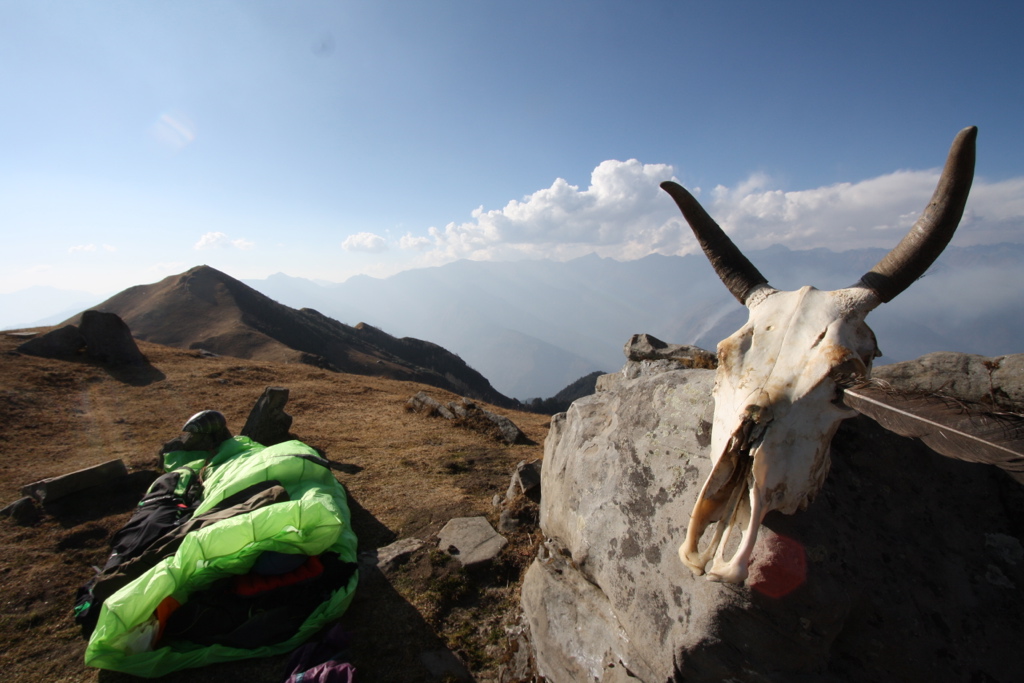 bivy